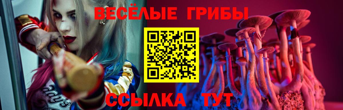 Псилоцибиновые грибы Psilocybine cubensis  Псилоцибиновые грибы Cubensis  Кириши  Вход с VPN 